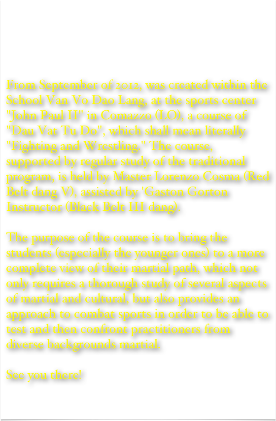 








From September of 2012, was created within the School Van Vo Dao Lang, at the sports center "John Paul II" in Comazzo (LO), a course of "Dau Vat Tu Do", which shall mean literally "Fighting and Wrestling." The course, supported by regular study of the traditional program, is held by Master Lorenzo Cosma (Red Belt dang V), assisted by 'Gaston Gorton Instructor (Black Belt III dang).
The purpose of the course is to bring the students (especially the younger ones) to a more complete view of their martial path, which not only requires a thorough study of several aspects of martial and cultural, but also provides an approach to combat sports in order to be able to test and then confront practitioners from diverse backgrounds martial.See you there!
