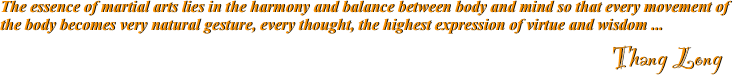 
The essence of martial arts lies in the harmony and balance between body and mind so that every movement of the body becomes very natural gesture, every thought, the highest expression of virtue and wisdom ...    
                                                                                                                    Thang Long                                                                                                                                                                                                                           